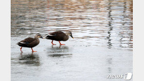 [날씨]아침 춥지만 낮부터 평년기온…미세먼지는 ‘보통’