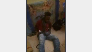 범죄 피의자 뱀으로 고문한 인도네시아 경찰···‘인권유린’ 논란