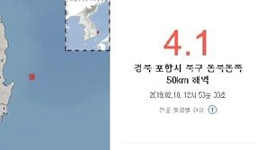 전문가 “포항 지진, 2017 강진 간접영향…앞으로 계속 일어날 것”