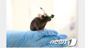 KAIST, 1g 미만 초경량 초음파 소자 개발