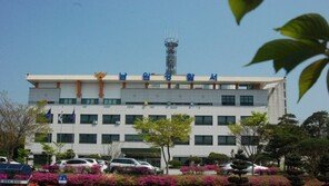 약초밭서 훔친 하수오로 술 담근 50대 2명 ‘덜미’