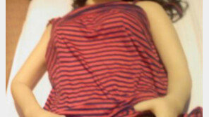 법원 “여성 신체형상 본뜬 성기구(리얼 돌) 수입 허가 해야”