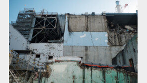 日, 동일본대지진 직후 “건강문제 없다” 문서 날조