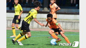 개인기 부족한 한국 축구 바꾸자…초등학교 축구 8인제 전면 도입