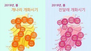 올해 봄꽃 평년 보다 빨리 핀다…제주 3월15일 개나리 개화