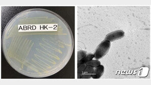 환경호르몬 분해 능력 탁월 ‘신종 미생물’ 발견