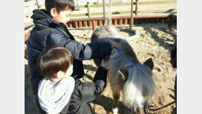 ‘마구간 옆 박물관’으로 오세요