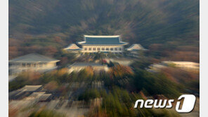 3·1절 특사에 정치·경제인 포함될 듯…이석기 前의원도?