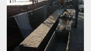 “러시아, 북한에 밀 5만톤 지원 검토중” 러 언론