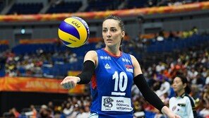 [스토리 발리볼] 배구공의 일생과 V리그 새 경기구 도입