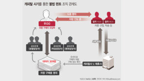 ‘살인미수’ 30대 잡고보니…16억 대출사기 여죄 들통