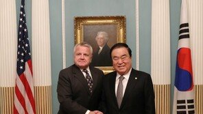 비건 “북미정상회담 2주 남아 난제 모두 해결하긴 어려워”