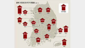 ‘상위 0.4%’ 비싼 땅 정조준…표준지 공시지가 20% 올렸다