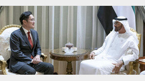 이재용, UAE 왕세제 만나 5G협력 논의