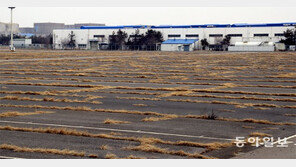 비명지를 힘도 없다… 혹독한 군산의 겨울