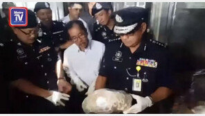 멸종위기 천산갑 29.8t 밀매하다 ‘철컥’ …中 부유층 정력제로 유명 