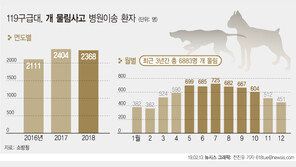 개 물림사고 빈번…하루 6건꼴로 119 출동