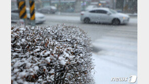 [날씨] 계속되는 한파…강원영동 최고 15㎝ 눈 예상