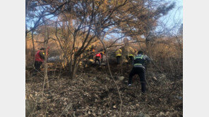 ‘건조경보’ 부산 승학산 7부 능선에 불… 2시간 만에 진화
