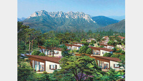 별장형 리조트 특별회원 선착순 모집