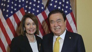 펠로시 “北이 원하는건 한국의 무장해제”