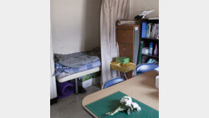 여전히 심전도 못재는 병원 응급구조사