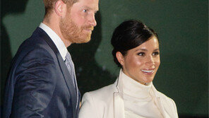 3월 출산 앞둔 英 왕손빈