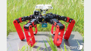 사막개미 본딴 로봇 ‘앤트봇’ 개발…태양 각도로 길찾아