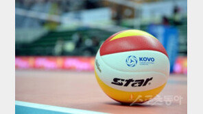 쓰러져 교체된 심판, 빠른 대처가 대형사고 막았다