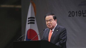 ‘뉴욕行’ ‘워싱턴’ ‘귀국’…방미 文의장·여야 의원 ‘각자 뿔뿔이’