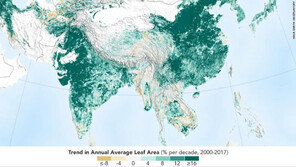 NASA “중국·인도, 지구 녹지화에 큰 역할”