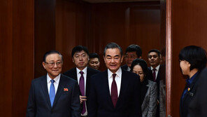 中 왕이위원, 북한대사관 주최 행사 참석…비핵화 강조