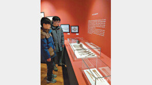 "한-중-일 젓가락 문화, 한눈에 보고 가세요"