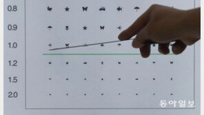[고양이 눈]보고 있어도 보고 싶은