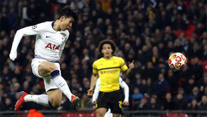 나비처럼 날아 벌처럼 쐈다