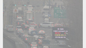 미세먼지 심한 날, 배출가스 5등급차 서울 못 다닌다