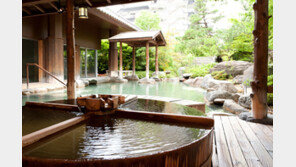 “3월 꽃소식과 함께 즐기는 일본 온천 료칸 여행 어때요?”