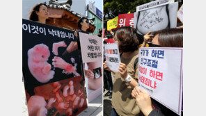 사회·경제적 이유 낙태 합법화 명분 될 수 있을까