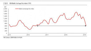 브라질 댐 붕괴에 해운시장 ‘출렁’…벌크선 운임지수 50% ‘뚝’