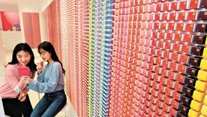 립스틱 색상만 95개