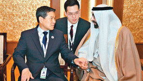 UAE 왕세제 26일 방한… 삼성 사업장 방문