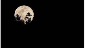 19일 정월대보름…“밤엔 눈·비 그쳐 달구경 가능”