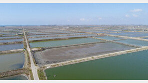 구글, 대만서 태양광 에너지 프로젝트 착수…아시아 최초