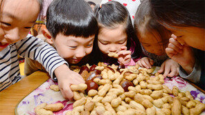 “내가 먼저 부럼 깨야지”