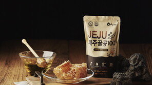 벌꿀로 건강한 단맛 더한 국산 무첨가 두유 '제주꿀콩100' 출시