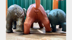 동물 장난감 성기에 당황한 母 ‘판금’ 촉구했지만… 여론은 냉랭