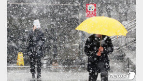 인천공항에 눈 ‘펑펑’…항공기 80편 1시간 출발 지연