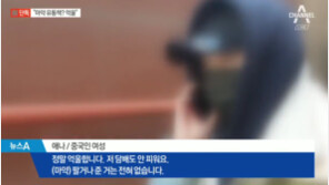 버닝썬 ‘마약 유통책’ 의혹 애나 “압수된 흰색 가루는 세탁 세제…억울” 