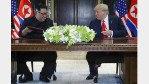 美민주 하원의원 “트럼프, 북미회담서 뭘 줄지 신이 알아”