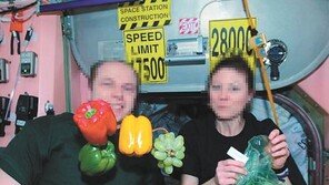 [2019 국가 소비자중심 브랜드 대상/데비마이어]식재료 수명 연장 ‘그린백’ 전세계 13억개 판매